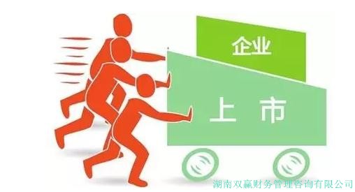 上市前輔導
