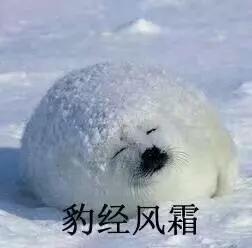湖南雙贏財務管理咨詢有限公司,財務外包，一站式財稅管理，上市前財務輔導，稅務咨詢，代理記賬