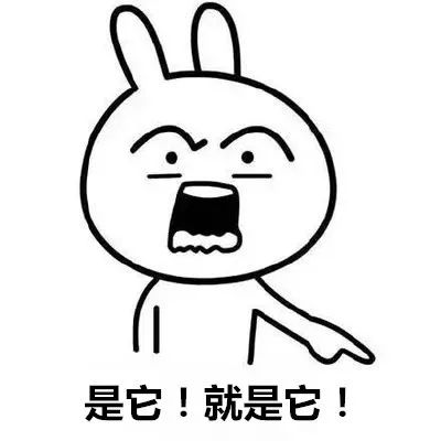 個稅|社保|小微企業稅收|一般納稅人|小規模納稅人|稅法